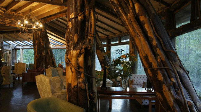 神奇的魔法木制酒店,童话森林里的城堡(图9) 神奇的魔法木制酒店,童话森林里的城堡(图9)